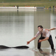 Illustration for article titled Trump Boys Sadly Release Pet Alligator Into Lincoln Memorial Reflecting Pool